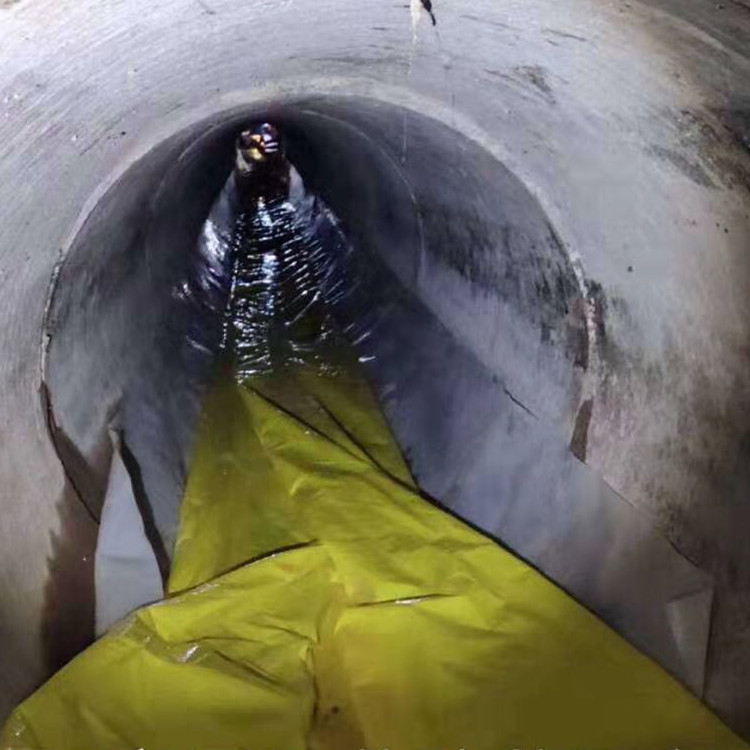 梅里斯达斡尔族管道光固化修复